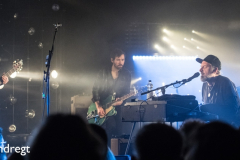 Fink_Paard_041217_PaulB_12