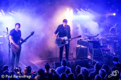 Fink_Paard_041217_PaulB_15