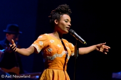 Im-a-soulman-Goudse-Schouwburg-2016-Aad-Nieuwland-009