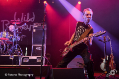 wild-romance-kaaspop-alkmaar-2019-fotono_004