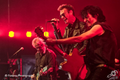wild-romance-kaaspop-alkmaar-2019-fotono_006