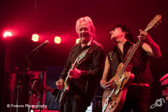 wild-romance-kaaspop-alkmaar-2019-fotono_007