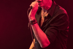 wild-romance-kaaspop-alkmaar-2019-fotono_010