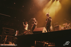 waltzburg-ziggodome-2019-brittcrooswijk-7