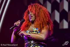Ladies-of-Soul-Ziggo-Dome-15022019-Aad-Nieuwland_019