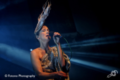 Lamb-Paradiso-2017-Fotono_012