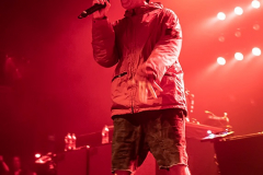 limp-bizkit-013-poppodium-2019-fotono_015