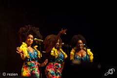 Little-Steven-Oosterpoort-27-11-2017-rezien-22-of-28