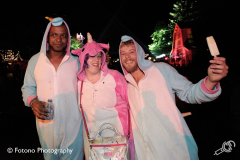 Sfeer-Lowlands-2017-Fotono_061