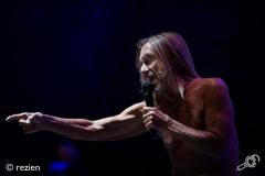 LL17-Iggy-Pop-©rezien-001-2