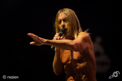 LL17-Iggy-Pop-©rezien-002