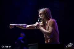 LL17-Iggy-Pop-©rezien-007
