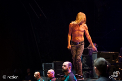 LL17-Iggy-Pop-©rezien-009