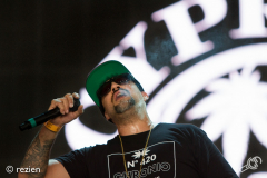 LL17-Cypress-Hill-©rezien-004