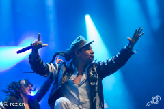 Gogol-Bordello-LL2018-rezien-290