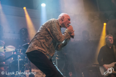 Midnight-Oil-Paradiso-23062017-Luuk-Denekamp_-12