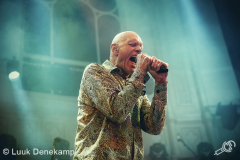 Midnight-Oil-Paradiso-23062017-Luuk-Denekamp_-13
