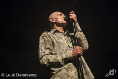 Midnight-Oil-Paradiso-23062017-Luuk-Denekamp_-15