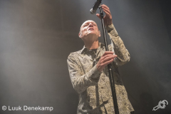 Midnight-Oil-Paradiso-23062017-Luuk-Denekamp_-17