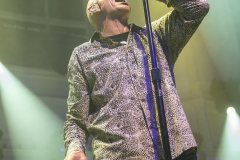 Midnight-Oil-Paradiso-23062017-Luuk-Denekamp_-20