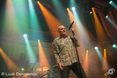 Midnight-Oil-Paradiso-23062017-Luuk-Denekamp_-7