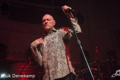 Midnight-Oil-Paradiso-23062017-Luuk-Denekamp_