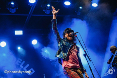 gogol_bordello-nirwanatuinfeest-2019-nonjaderoo_005