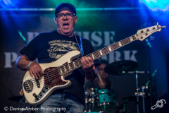 Precise-Patchwork-Band-nirwana-tuinfeest-18082017-denise-amber_006