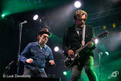 Eels-Once-in-a-Blue-Moon-24082019-Luuk-4
