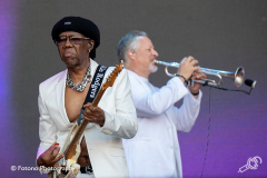 nile-rodgers-chic-parkpop-2019-fotono_009