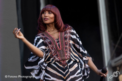nile-rodgers-chic-parkpop-2019-fotono_011