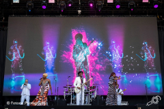 nile-rodgers-chic-parkpop-2019-fotono_012