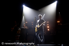 Paul_Weller-Paard-08062017-Rene_Oonk-008