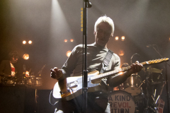 Paul_Weller-Paard-08062017-Rene_Oonk-010