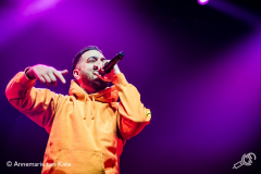 ronnie-flex-afas-live-2018-Annemarie-ten-Kate_-10