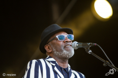 The-Specials-StadsparkLive2019-rezien-16