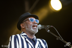 The-Specials-StadsparkLive2019-rezien-17