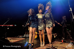 The-BlueBirds-TivoliVredenburg-2018-Fotono_028
