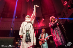 tinariwen-paradiso-2017-susanamartins-015