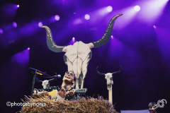 DouweBob-Tuckerville-2019-NonjadeRoo_006