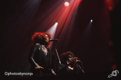 JamesMorrison-Tuckerville-2019-NonjadeRoo_010