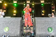 20190714-Par-pa-fotografie-Werfpop-HolieCook-4102-CMk