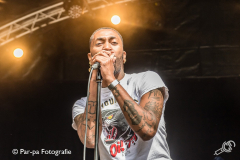 20190714-Par-pa-fotografie-Werfpop-Ploegendienst-3965-CMk