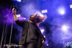 20190714-Par-pa-fotografie-Werfpop-ZealArdor-4578-CMk