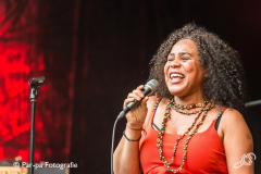 20190714-Par-pa-fotografie-Werfpop-Zuco103-1021-CMk