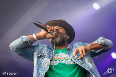 WTTV2017-Cody-Chestnutt-rezien-2-of-20