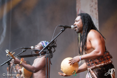 King-Ayisoba-and-Bongo-All-Stars-Band-WTTV2019-rezien-3